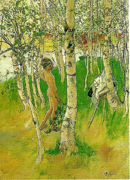 Carl Larsson ulf en naken pojke mellan bjorkstammar-ulf badar pa bullerholmen oil painting image